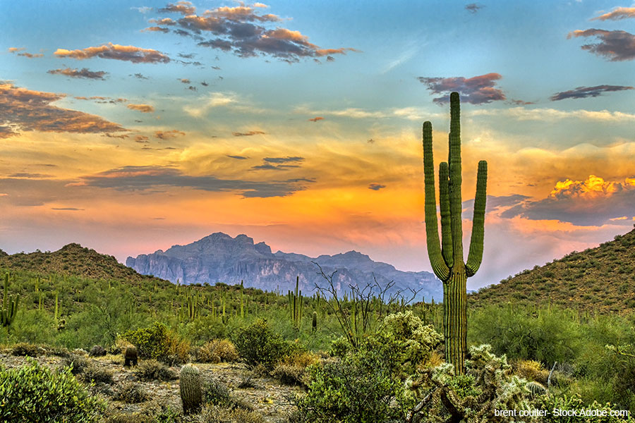 Chapter Spotlight: Arizona - The Hospitalist